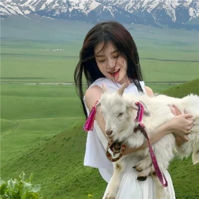 风流女神探